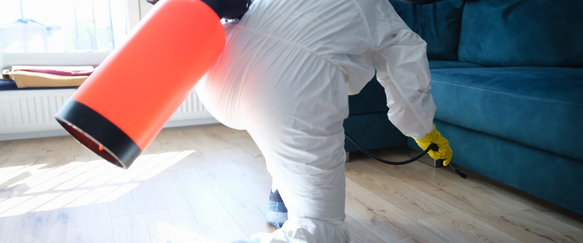 Ensure Your Toledo Property is Safe with Expert Water Damage Solutions