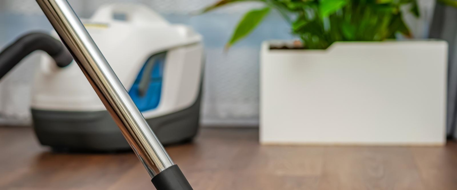 Discover Carpet Cleaning Costs in Eugene