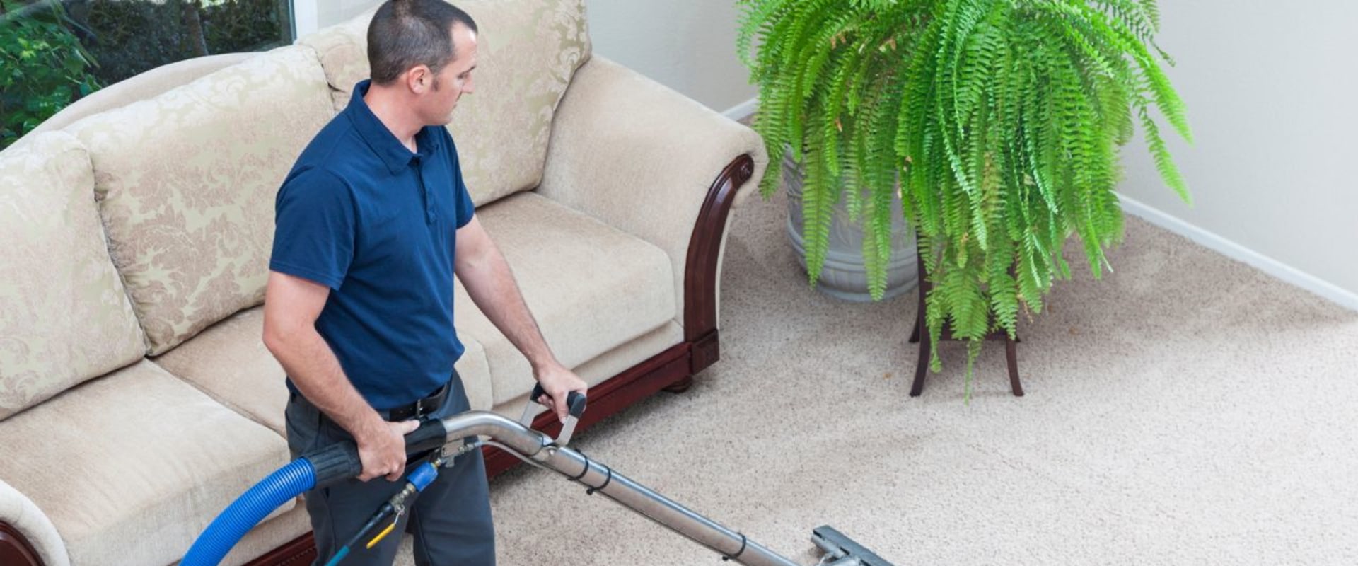 Maintain A Healthy And Welcoming Environment With Commercial Carpet Cleaning In Glencoe