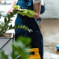 First Impressions Matter: The Value of Professional Commercial Cleaning
