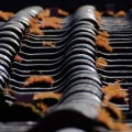The Importance of Roofing Materials in NOVA Property Maintenance